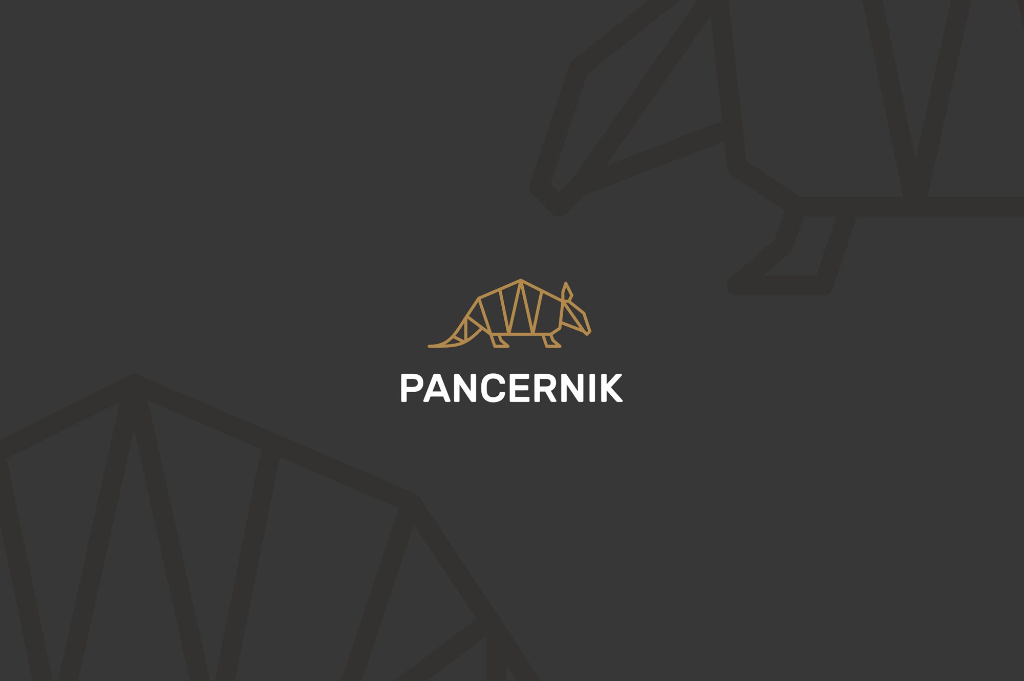 Pancernik - logo wersja 1 KOLOR PATTERN