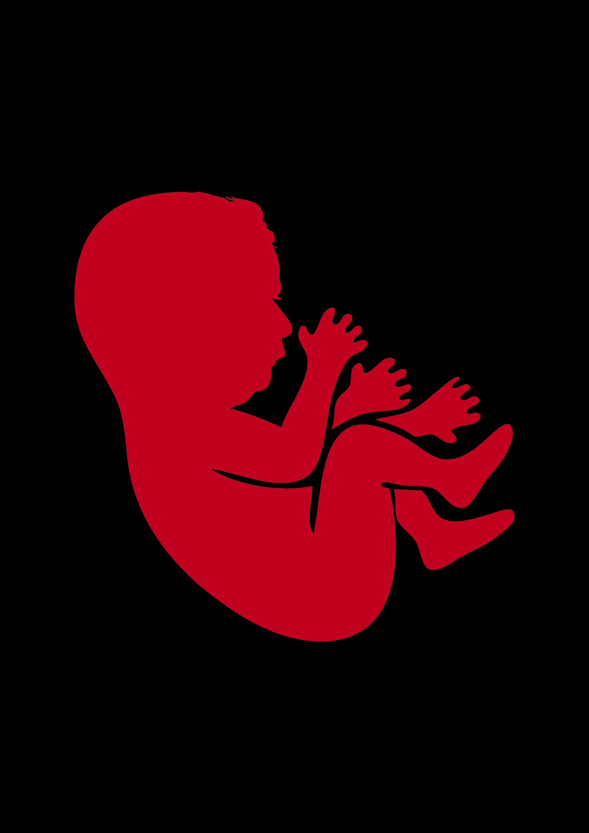 Kaczyński - embrion (muchaDSGN) A4